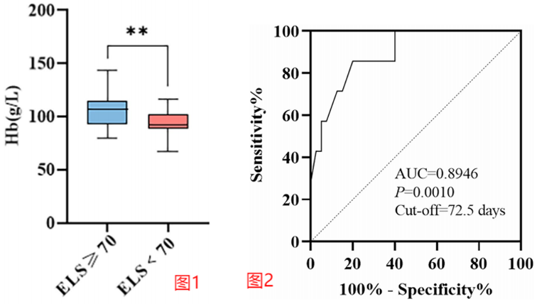 最新報(bào)道—《紅細(xì)胞壽命預(yù)測晚期胃癌患者抗腫瘤治療后中度及重度貧血:一項(xiàng)前瞻性研究》(譯)2